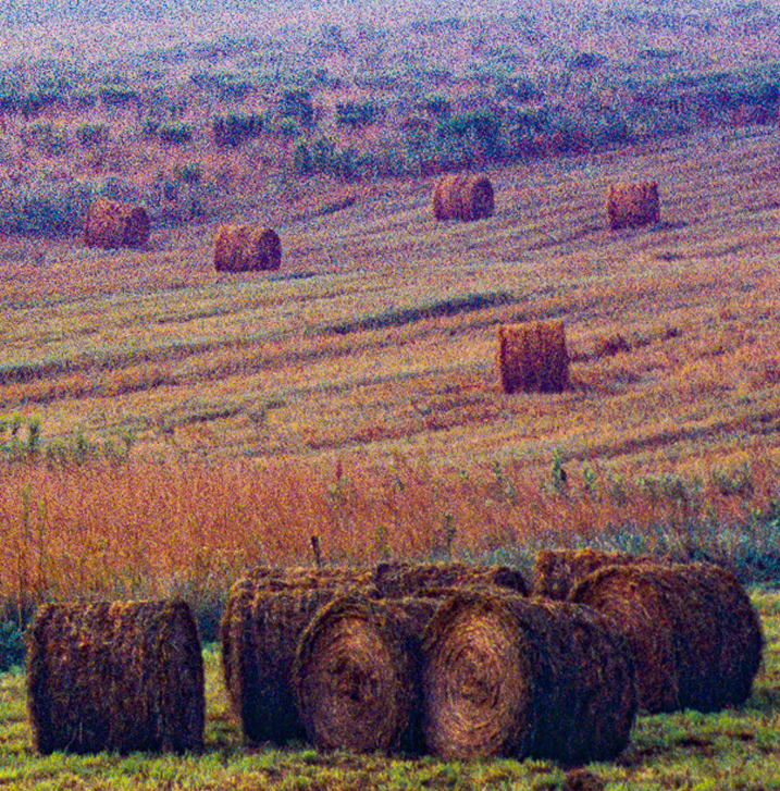 Sandycreek Township fielf of hay bales