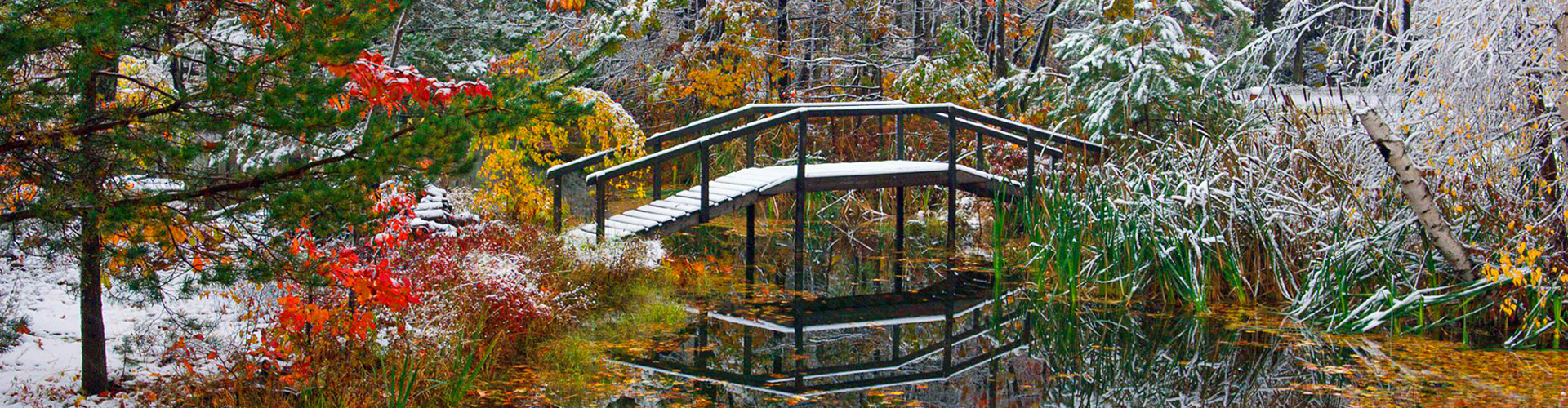 Bridge over a creek with snow on the trees